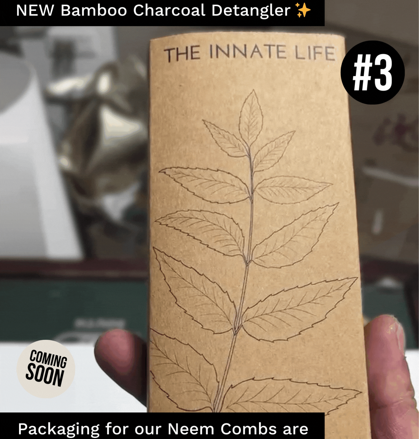 Our 5 Wins of November 2022 + NEW Products 👀 The Innate Life