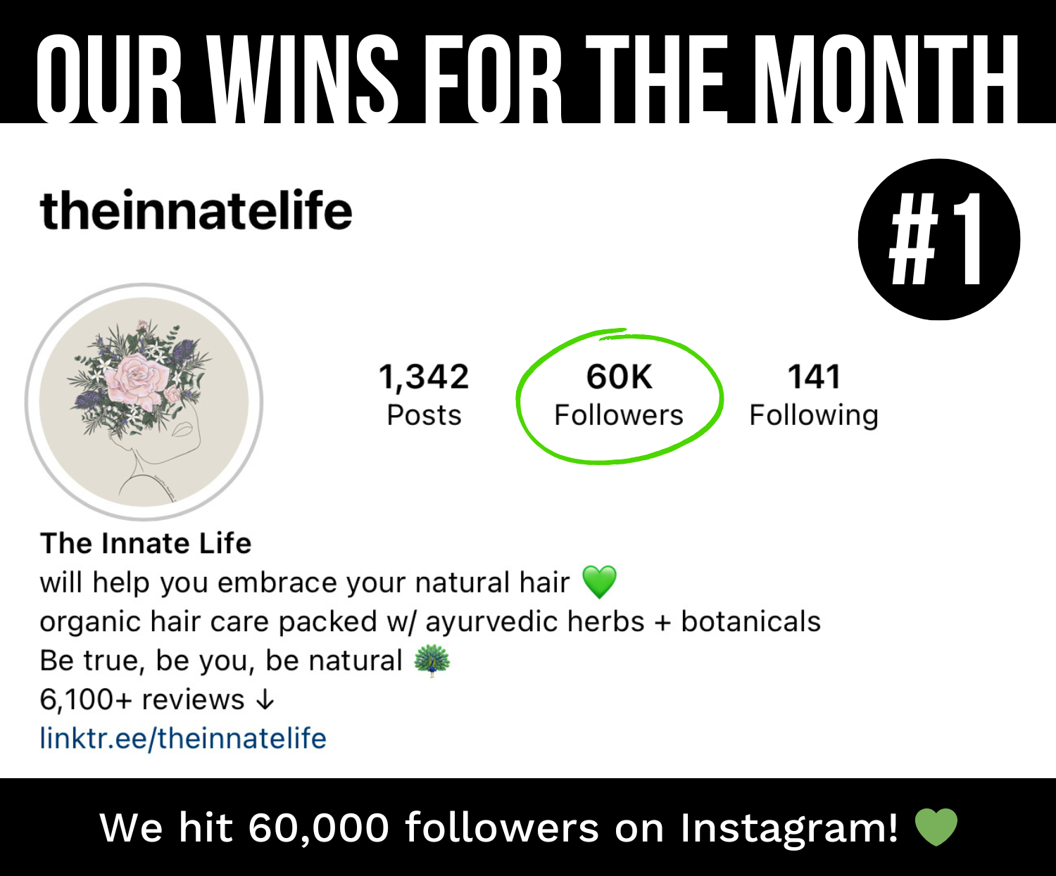 Our 5 Wins of November 2022 + NEW Products 👀 The Innate Life