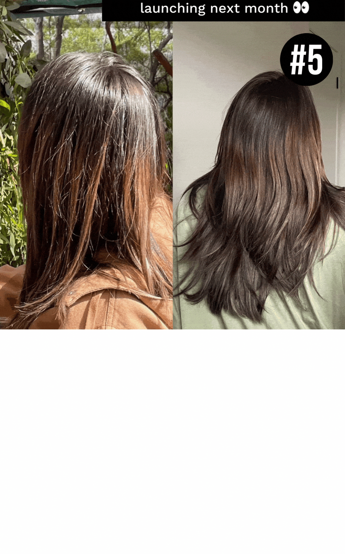 Our 5 Wins of November 2022 + NEW Products 👀 The Innate Life